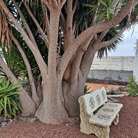 Tenerife Apartment Dulcynea With Terrace And Garden 600M2 With Ocean And Teide View Icod De Los Vinos Ngoại thất bức ảnh