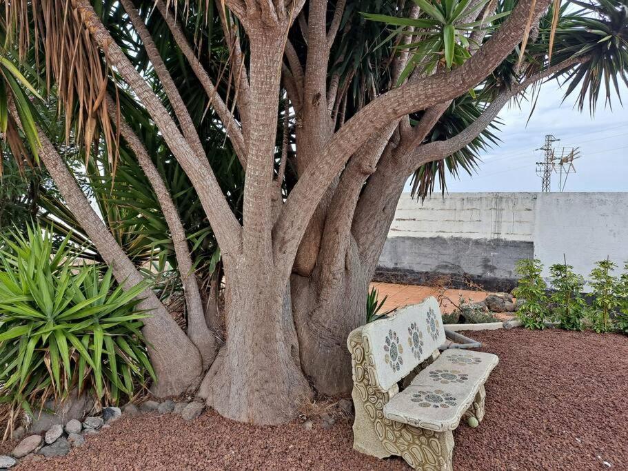 Tenerife Apartment Dulcynea With Terrace And Garden 600M2 With Ocean And Teide View Icod De Los Vinos Ngoại thất bức ảnh